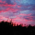 pink clouds