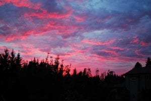 June’s Words of a Feather: the Sue C. Boynton Poetry Contest @ Allied Arts Gallery