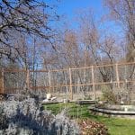 Lydia Place garden