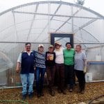 York Farm copy