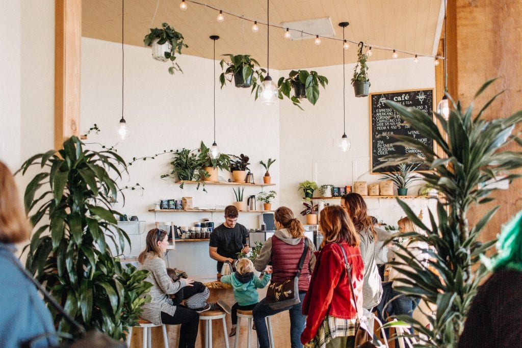 Downtown Bellingham Plant Shop babygreens Expands With New
