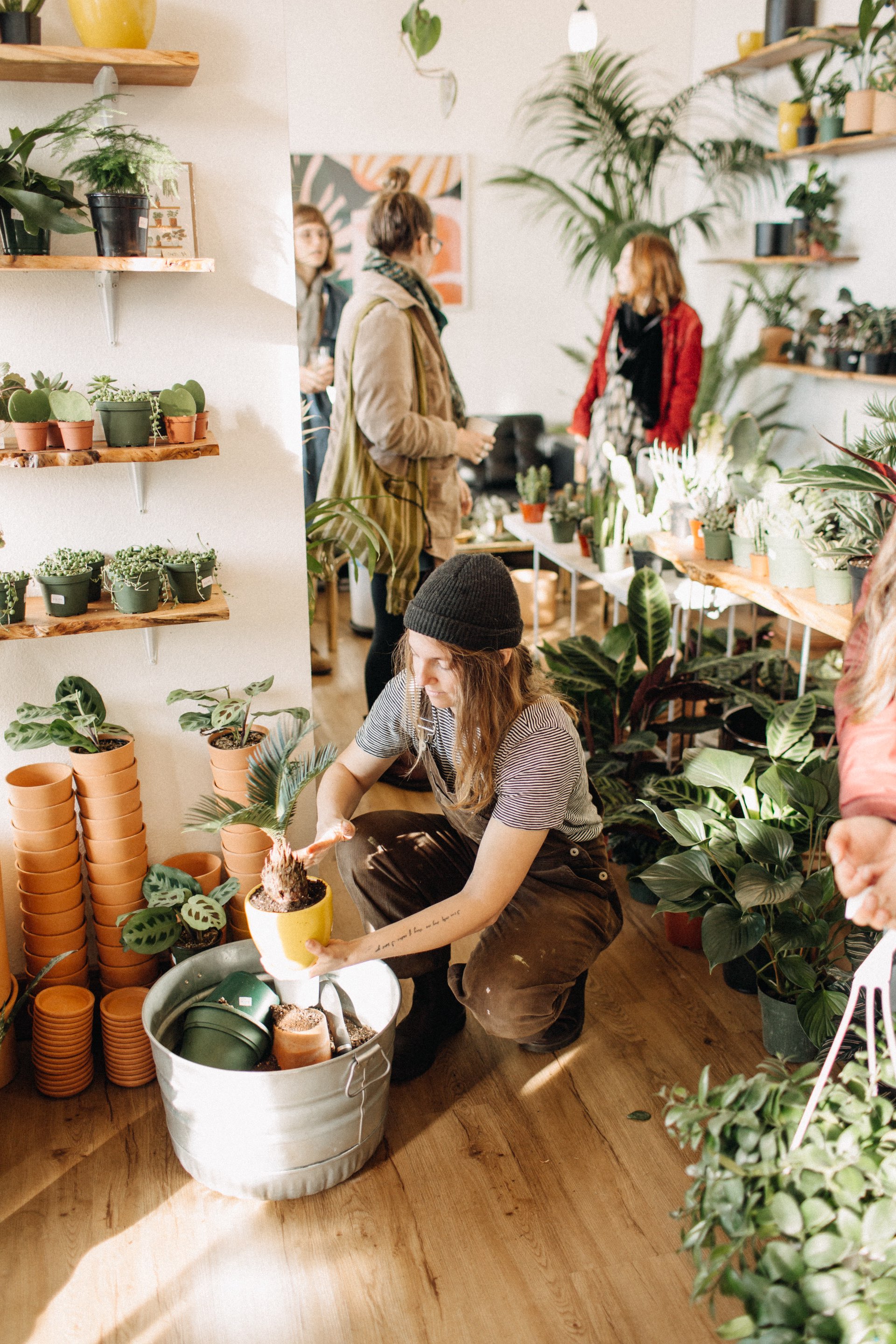 Downtown Bellingham Plant Shop babygreens Expands With New