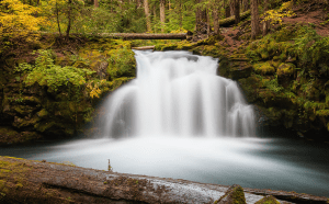 Go With the Flow: Waterfall and Stream Photography