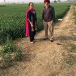 punjab farm