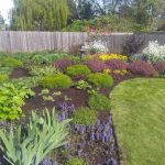 KV- KB’s garden