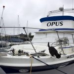 boat exterior with zeke