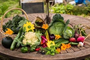 Summer on the Farm at Bellewood Farms @ Bellewood Farms