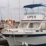 houseboat photos courtesy opus