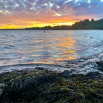 lori locust beach