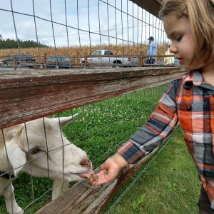 Whatcom County Farm Tour @ Whatcom Coumty