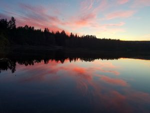 Hamster Endurance Run @ Lake Padden