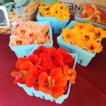 flower festival flowers