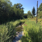 2017-07-23-Twitter-Jonathan-Morgan-Kay