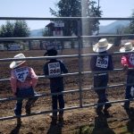 Rodeo feature