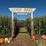 Whatcom County Corn Mazes Lynden FFA entrance