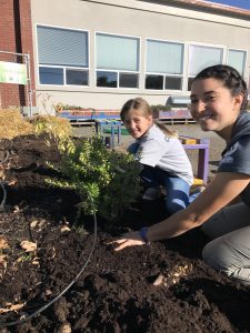 Acme Elementary Garden Work Party