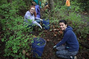 Make a Difference Day and Arbor Day Volunteer Work Party @ Fairhaven Park