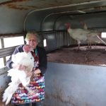 Heritage Bank business financing raising turkies