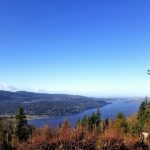 chanterelle trail