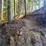 chanterelle trail 2