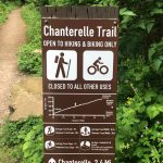 chanterelle trail 3 – sledge