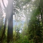 chanterelle trail sledge 1