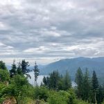 chanterelle trail sledge 4