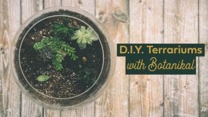 DIY Terrariums with Botanikal @ Thousand Acre Cider House