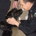 BPD K9 Raven Lt. Almer Keeping K-9s in Kevlar