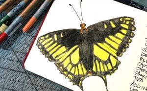 Illustrated Field Journaling @ North Cascades Environmental Learning Center