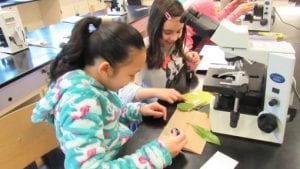GEMS Night Out (Girls in Engineering, Math & Science) Bellingham @ Western Washington University