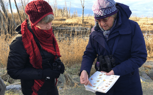 Winter Visitors: Birding in the Skagit Flats @ Lower Skagit VAlley