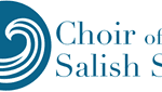 CSS Logo