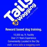 Tails Dex 11p9 x 14p6-01