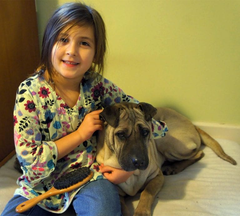 Learn About Pet Care During COVID19—and More—With Local