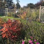 gardens-community