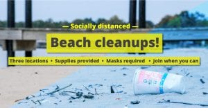 Socially distanced beach cleanups @ Locust Beach, Cherry Point Beach, Semiahmoo Spit