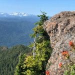 Colonel-Bob-hike