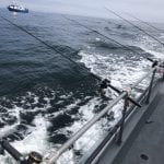 fishing-poles-on-charter-boat-Westport