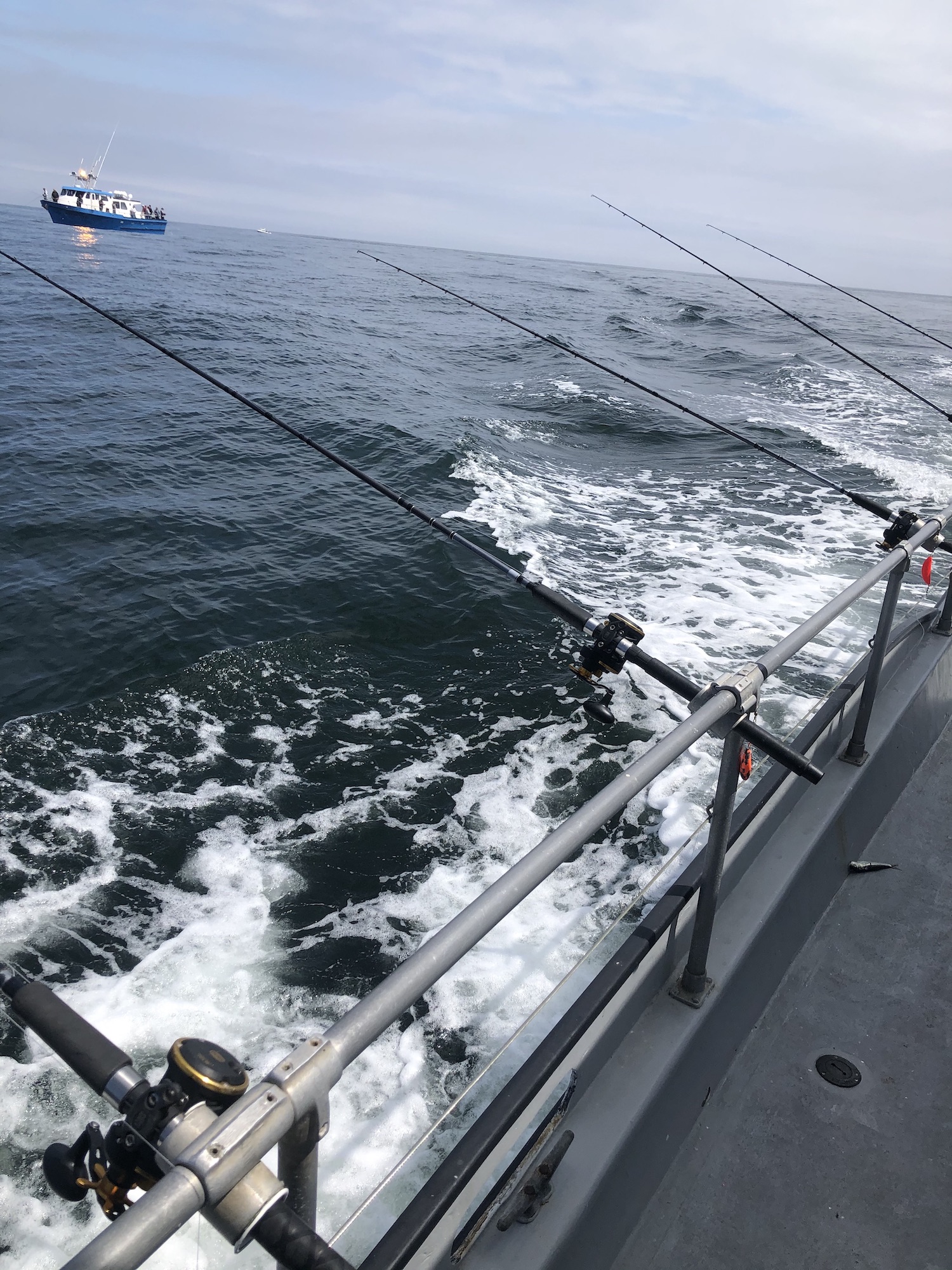fishing-poles-on-charter-boat-Westport - WhatcomTalk