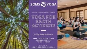 Yoga for Earth Activists @ online