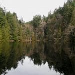 fragrance-lake