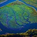 Nisqually River Delta, Washington