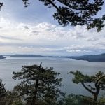 Baker Preserve Lookout Southwest