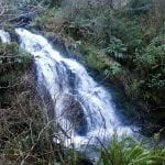 Daytrip-Wateralls-Cascade-Falls