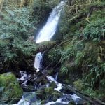 Daytrip-Waterfalls-Merriman-Falls