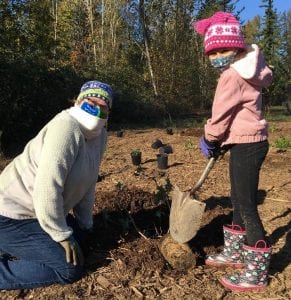 MLK Day of Service Stewardship Opportunities @ Several locations in Bellingham
