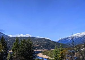 Scotch Broom Removal with NSEA and Whatcom Land Trust
