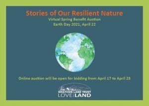 Stories of Our Resilient Nature @ Online Event