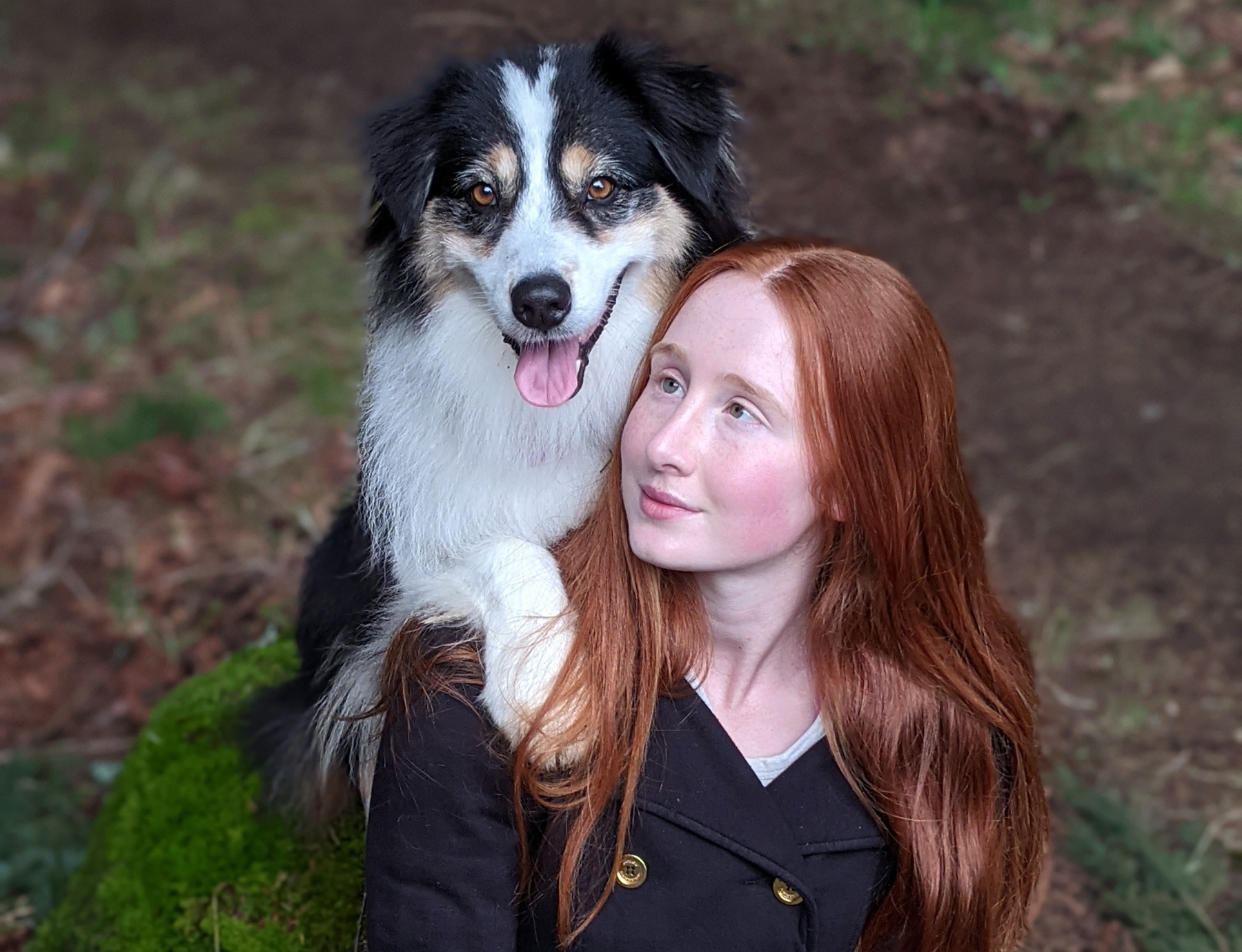 How smart is your dog? Border Collies star in new dog research